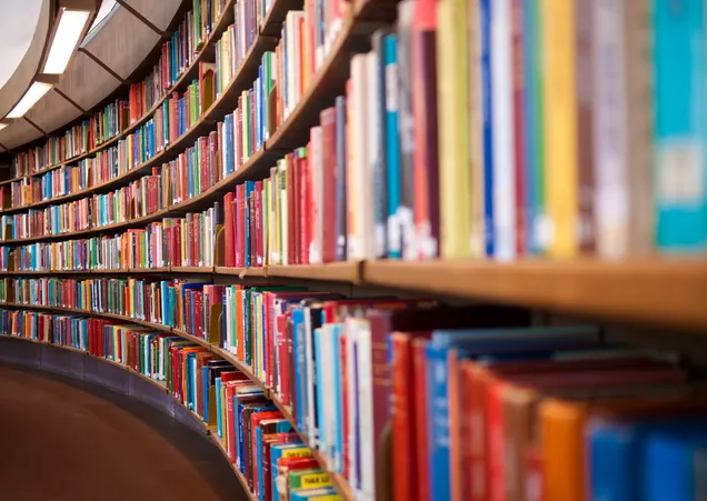 Curved wooden bookshelves filled with colorful books in a library.