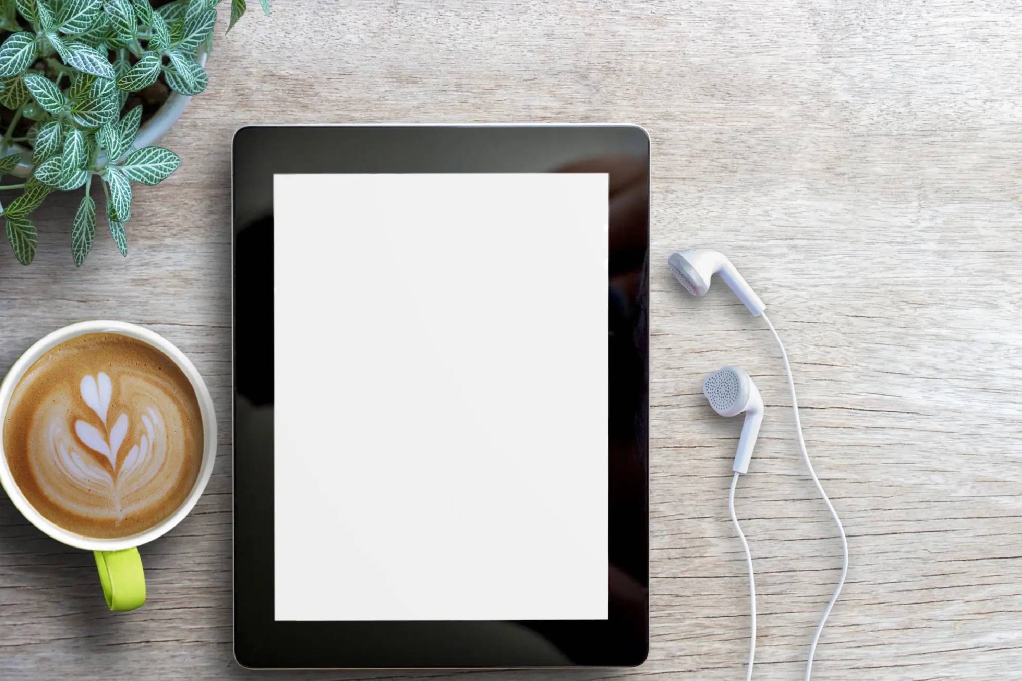 Print & E-Book Services