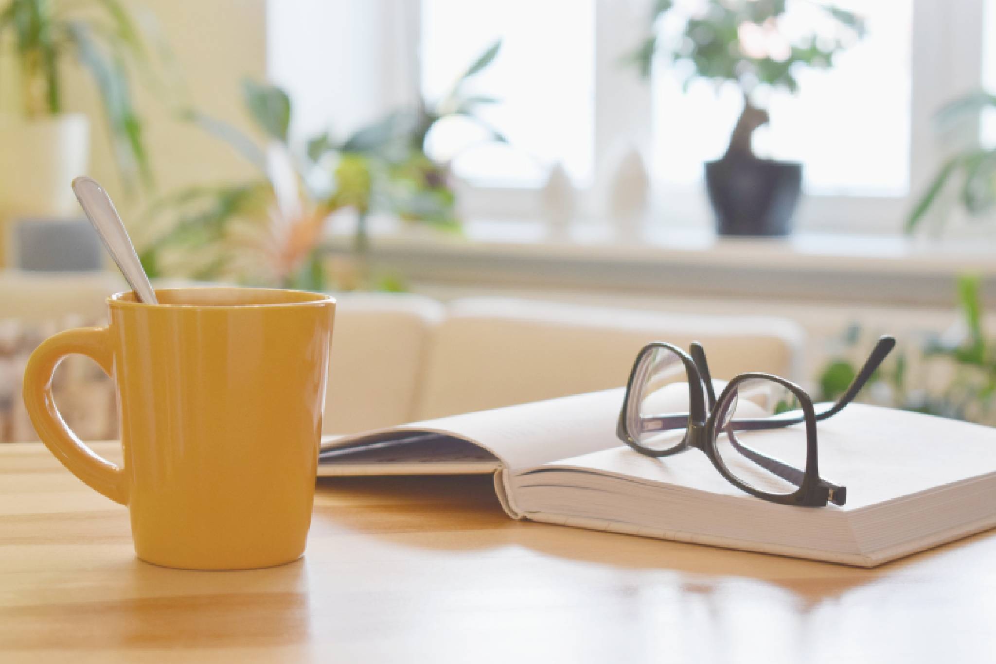 Self-Publishing Support